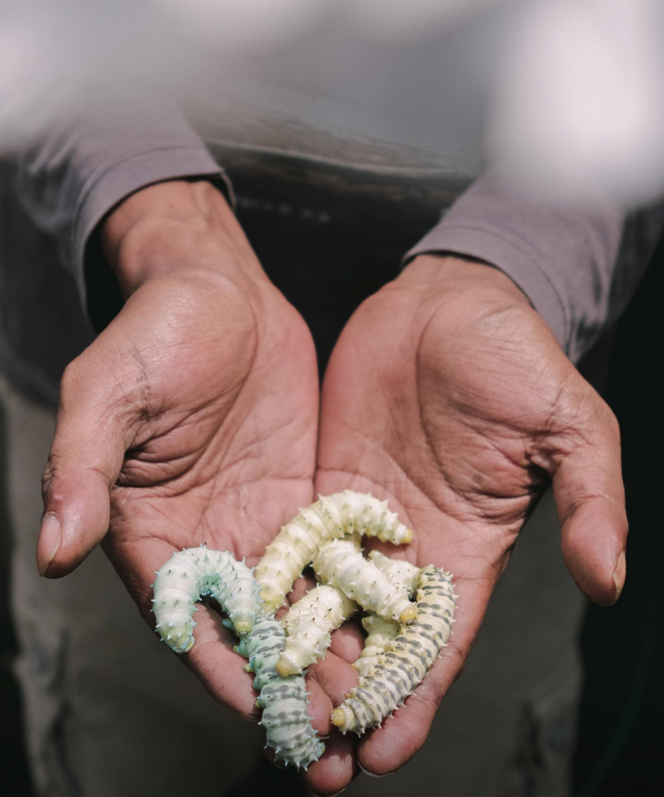 Serasa by Melie Indarto: The Future of Ethical Silk in Indonesia